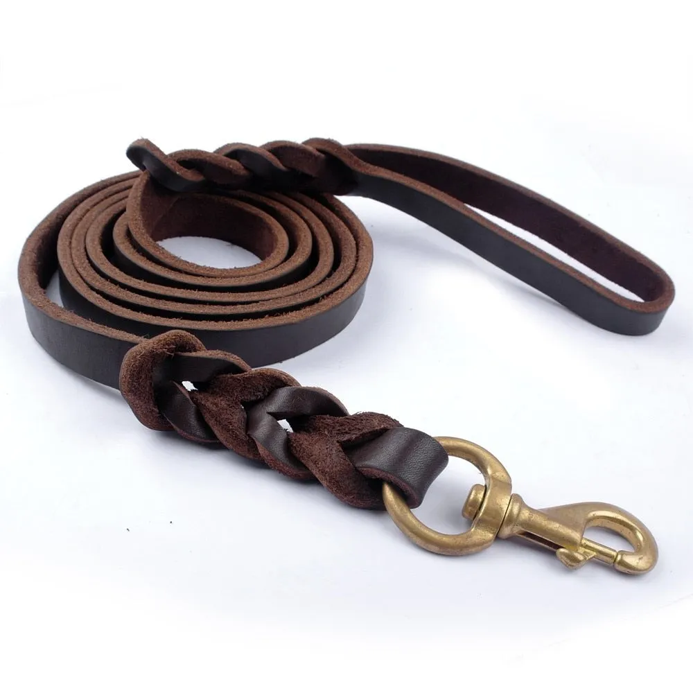 Braided Leather Dog Leash