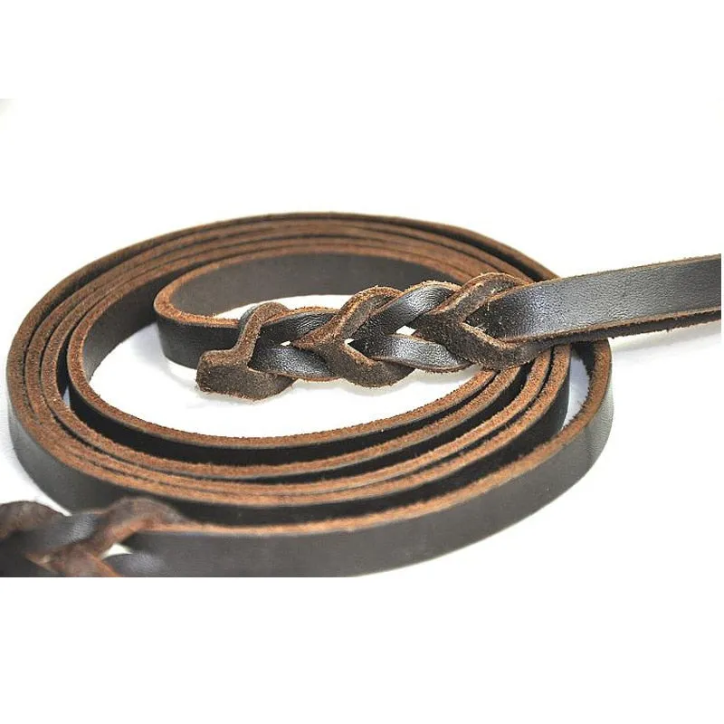 Braided Leather Dog Leash