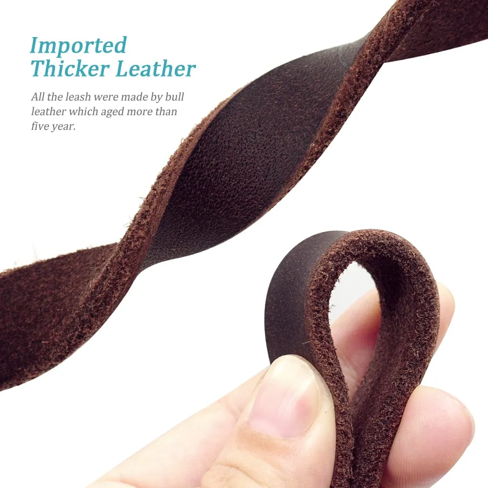Braided Leather Dog Leash