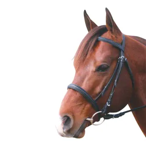 Cavesson Noseband Bridle
