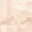 Champagne Long Sleeved Lace Frill Top