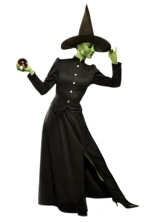 Classic Witch Adult Medium Adult Women Costume