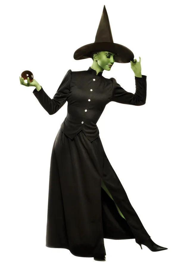 Classic Witch Adult Medium Adult Women Costume