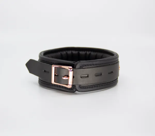 Col048 Leather Collar With Coloured Hardware