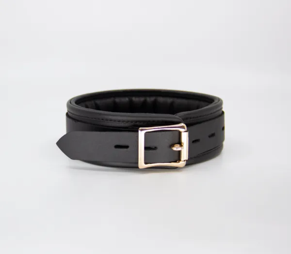 Col048 Leather Collar With Coloured Hardware