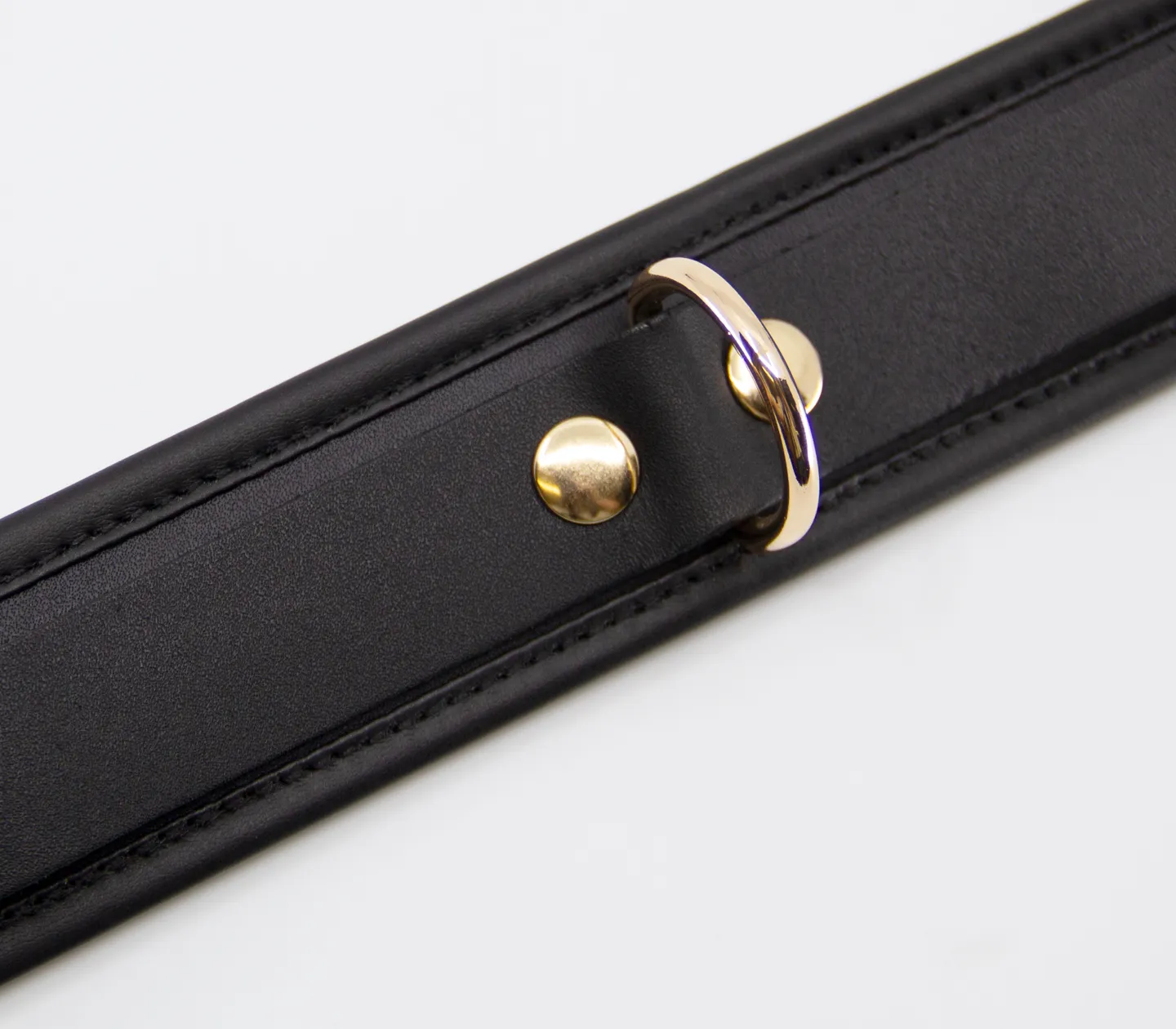 Col048 Leather Collar With Coloured Hardware