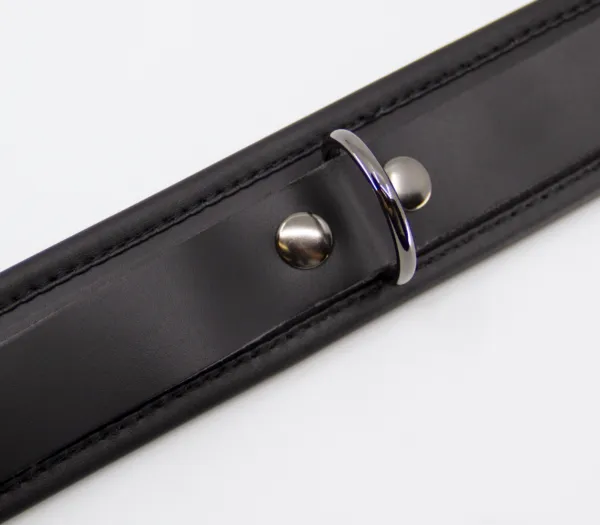 Col048 Leather Collar With Coloured Hardware