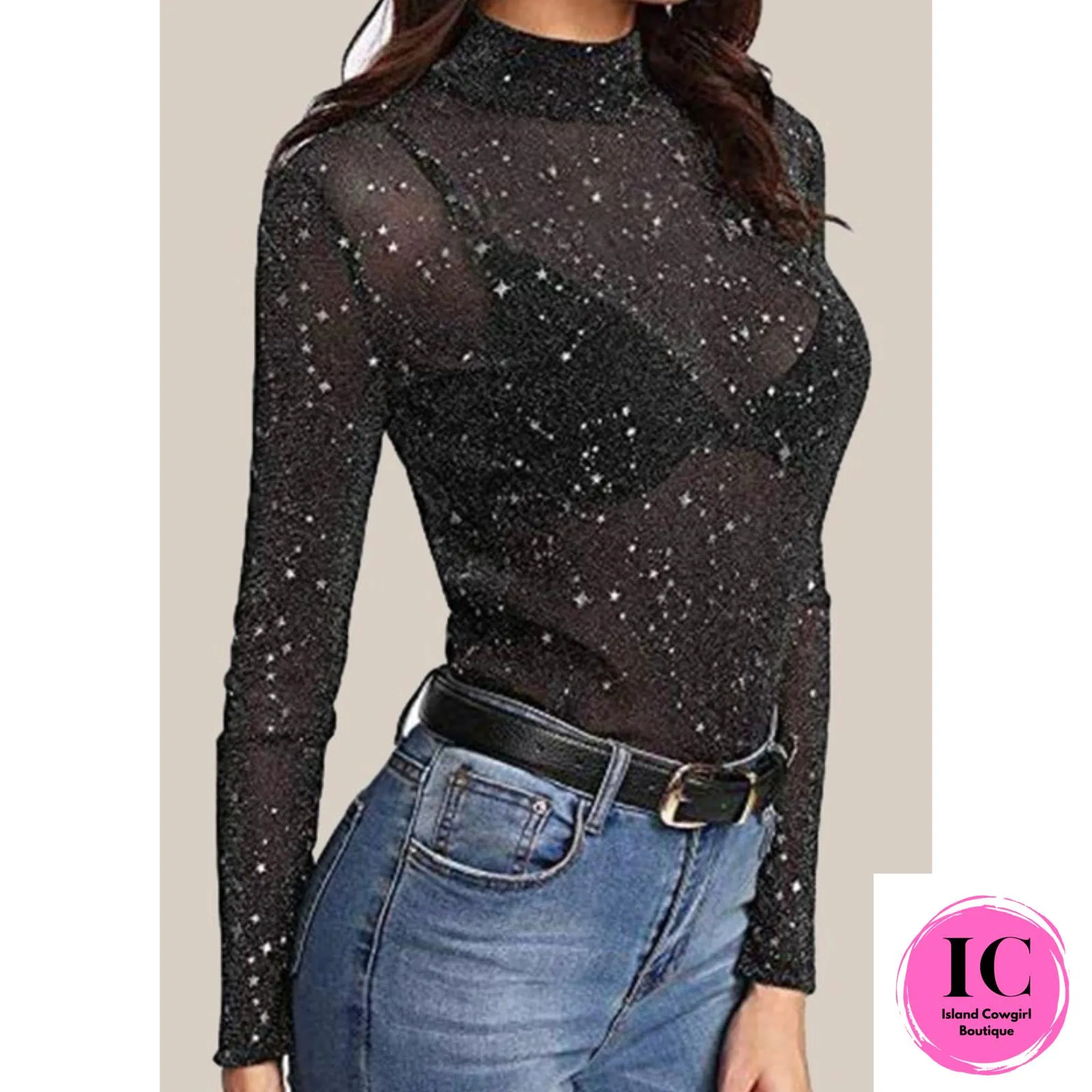 Elegant Sheer Star Patterned Long Sleeve Top