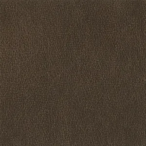 Fiesta-Brunette