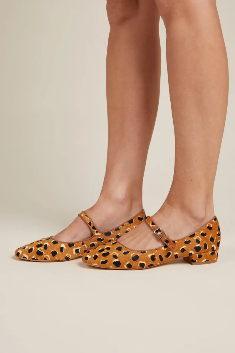 Intentionally Blank Kemp Tan Cheetah