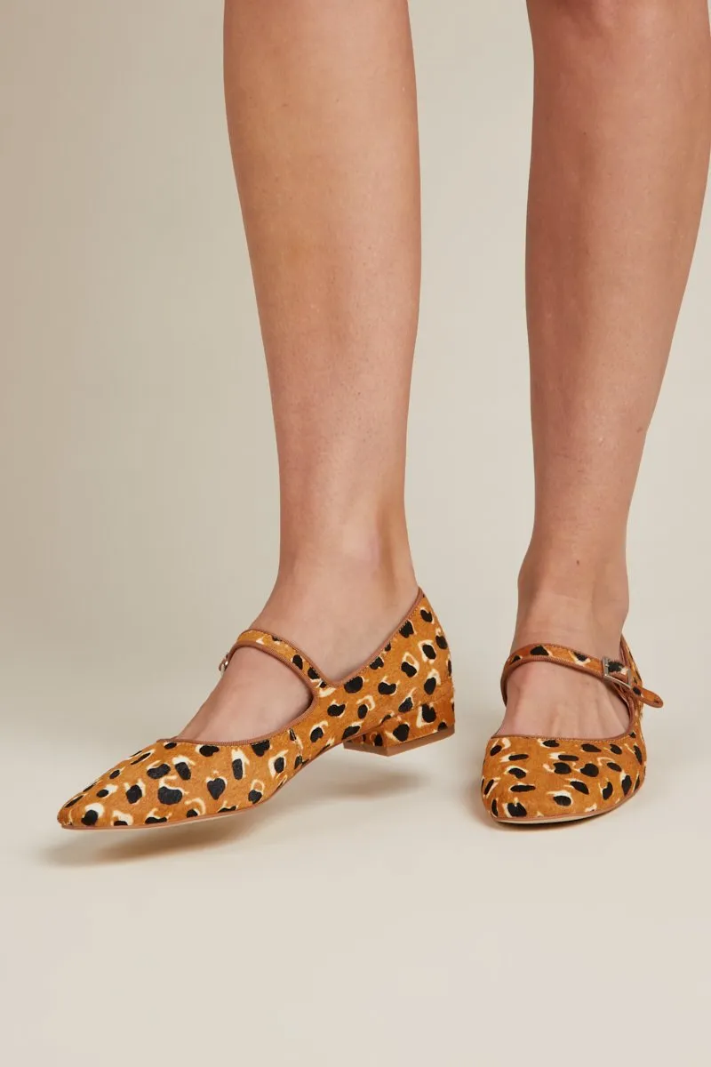 Intentionally Blank Kemp Tan Cheetah