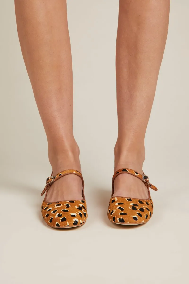 Intentionally Blank Kemp Tan Cheetah