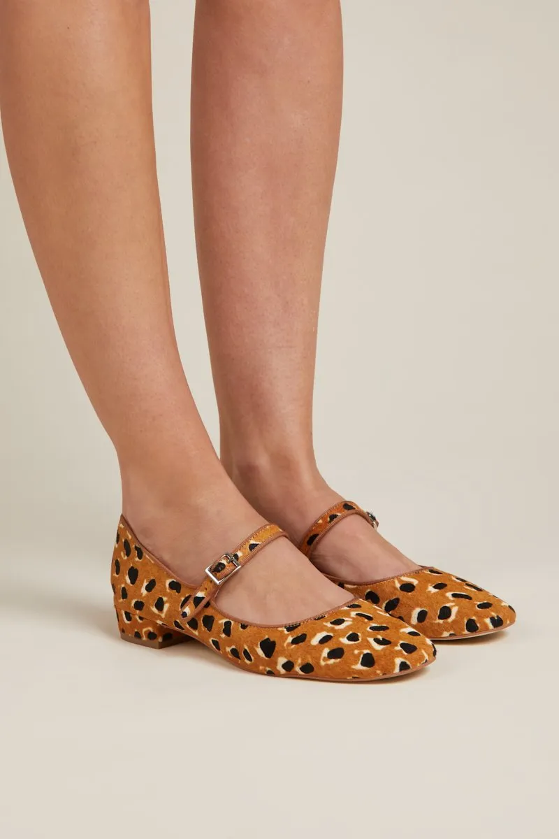 Intentionally Blank Kemp Tan Cheetah