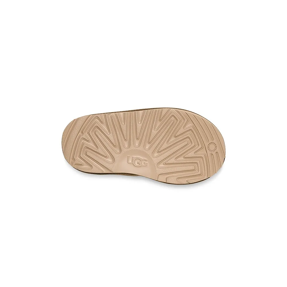 Toddler's Tasman (ALP)