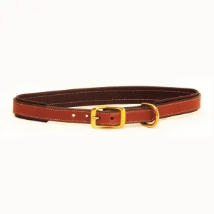 Tory Padded Dog Collar