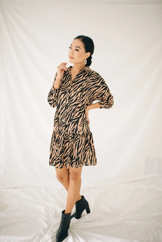 Zebra Me Crazy Dress