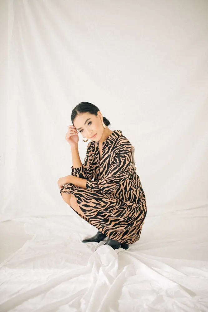Zebra Me Crazy Dress